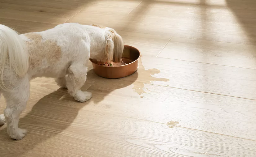 The Next Generation of Flooring | Quick-Step Hybrid Engineered Wood