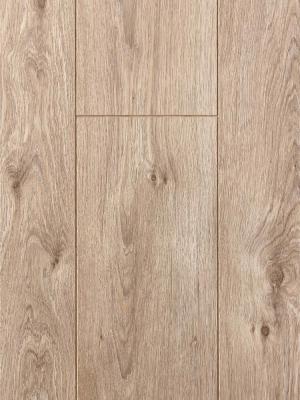 Quick-step laminate  Endurance Natural Varnish oak 583